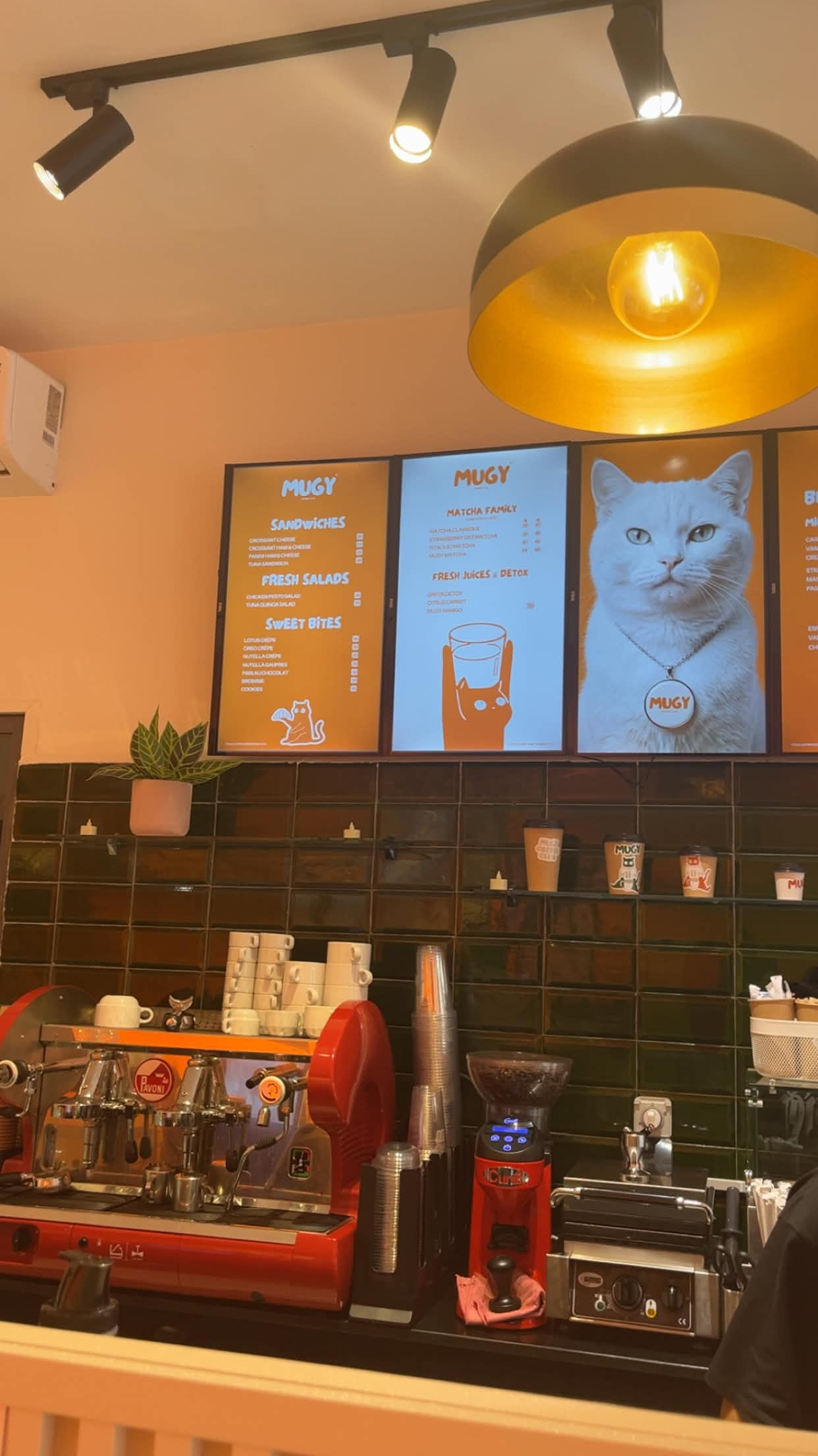 Cafe wall photo